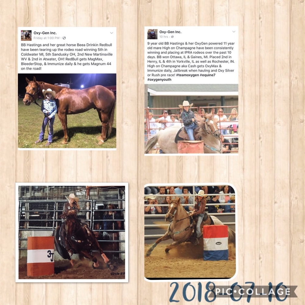 Meet your Posher, Bb